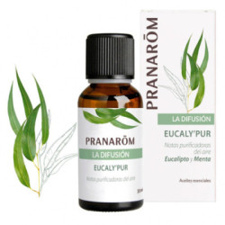 Pranaron Nuevo Mezcla Difusor Eucalipto 30 Ml.